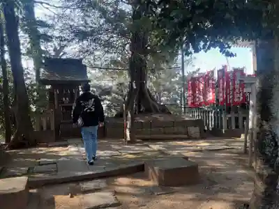 諏訪神社(東京都)