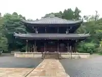 知恩院の本殿・本堂