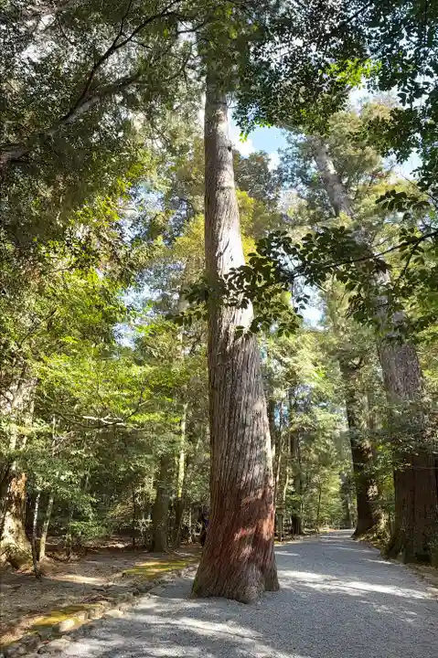 瀧原宮(皇大神宮別宮)(三重県)