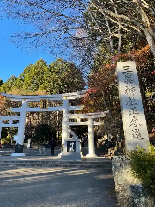 三峯神社(埼玉県)