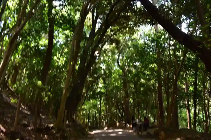 石清水八幡宮の自然