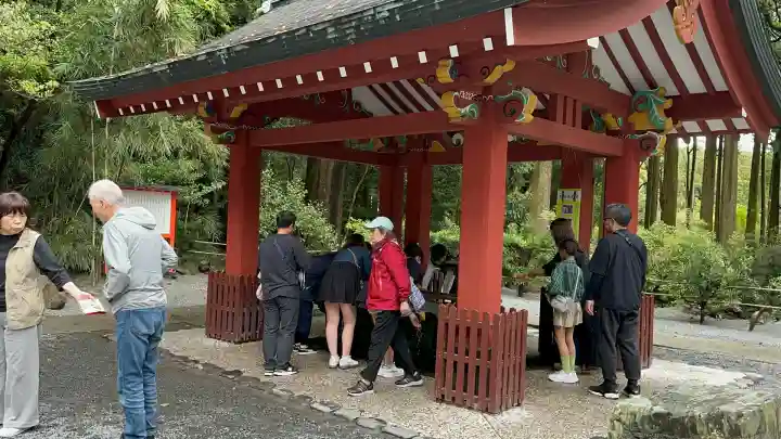 霧島神宮(鹿児島県)