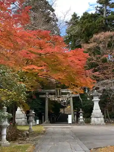志波彦神社・鹽竈神社の自然
