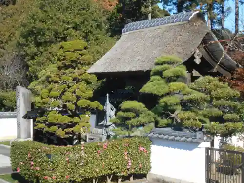 天嶽院の景色