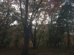 星置神社(北海道)