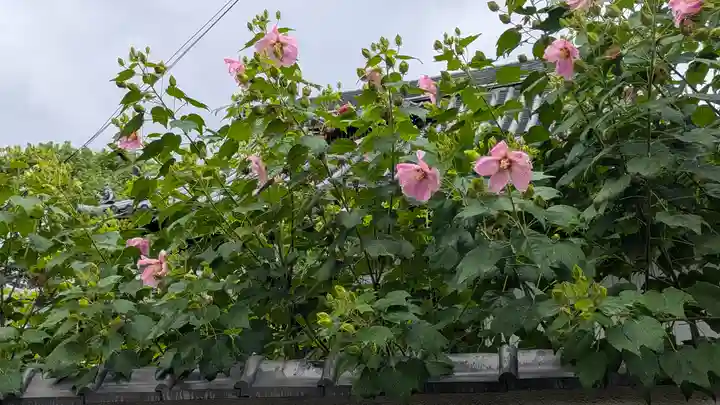 如願寺(大阪府)