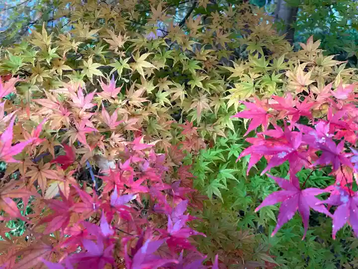 国宝 大法寺(長野県)