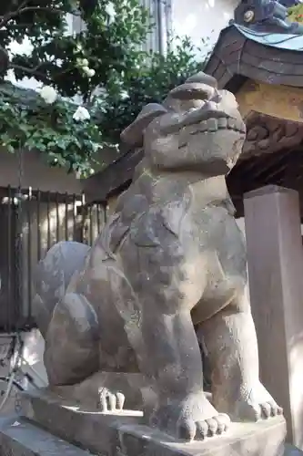 秋葉神社の狛犬