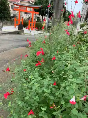 大野神社の自然