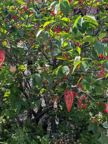 今戸神社(東京都)