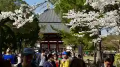 東大寺の建物その他