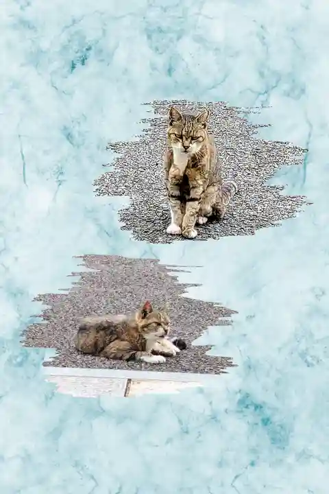 白金氷川神社の動物