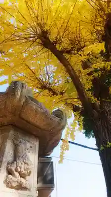 十二所社の狛犬