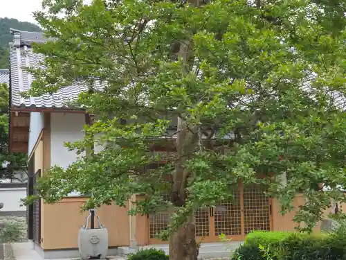 西光寺(滋賀県)