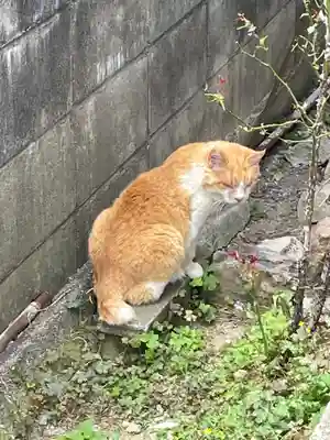 まんなおし地蔵尊(奈良県)