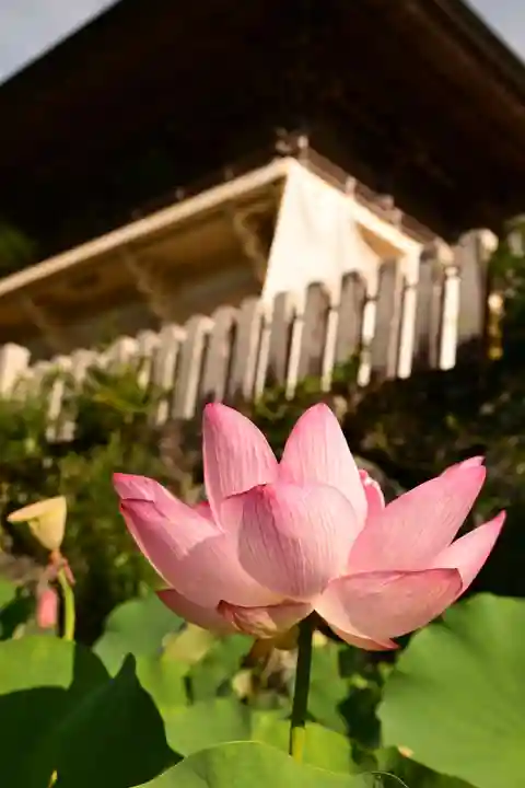定福寺(高知県)
