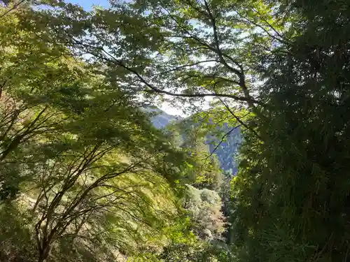 武蔵御嶽神社(東京都)