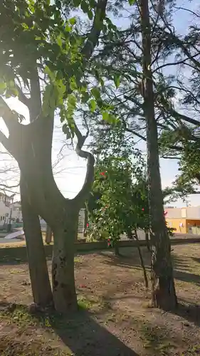 神明社（国府宮神明社）の庭園