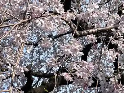 日蓮宗　浄運寺(東京都)