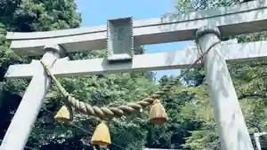 天鷹神社(岐阜県)(2024年09月11日(水) 00時53分00秒投稿)