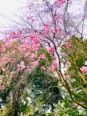 岡見八坂神社(茨城県)