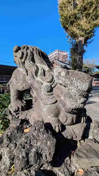菊田神社の狛犬