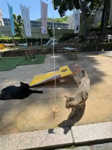 王子神社(徳島県)