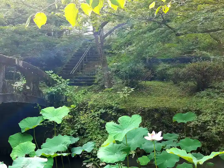 大洞院の庭園