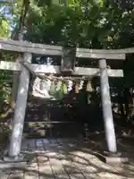 世田谷八幡宮の鳥居