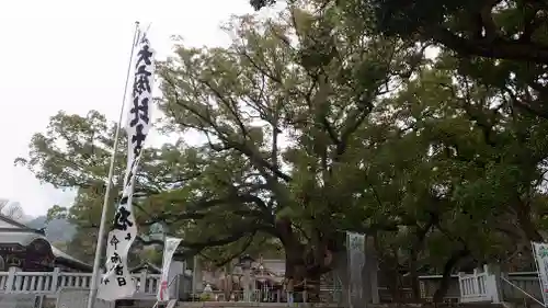 大麻比古神社(徳島県)