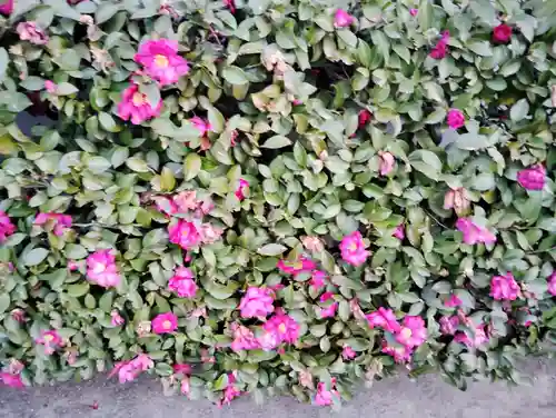 熊野神社の自然