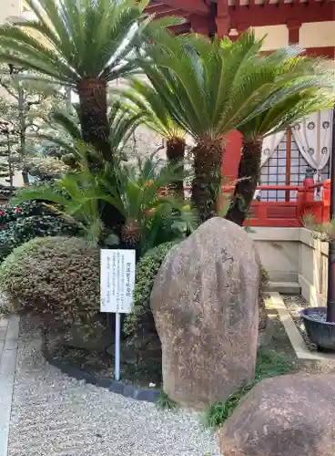 藤次寺(大阪府)