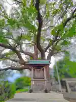 神明社(楠町)の末社・摂社