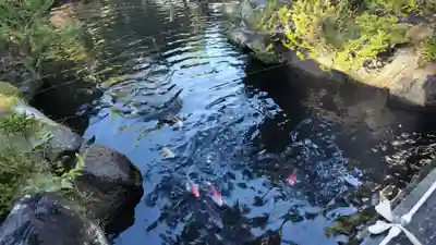 建部大社(滋賀県)