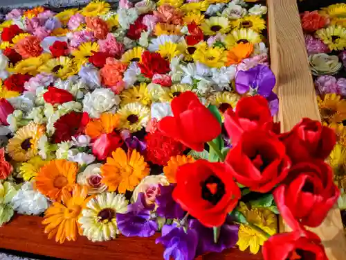三津厳島神社の手水舎
