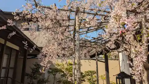 粟嶋堂宗徳寺の自然