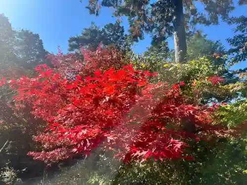 常樂寺(滋賀県)