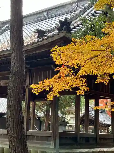 兒神社(岐阜県)