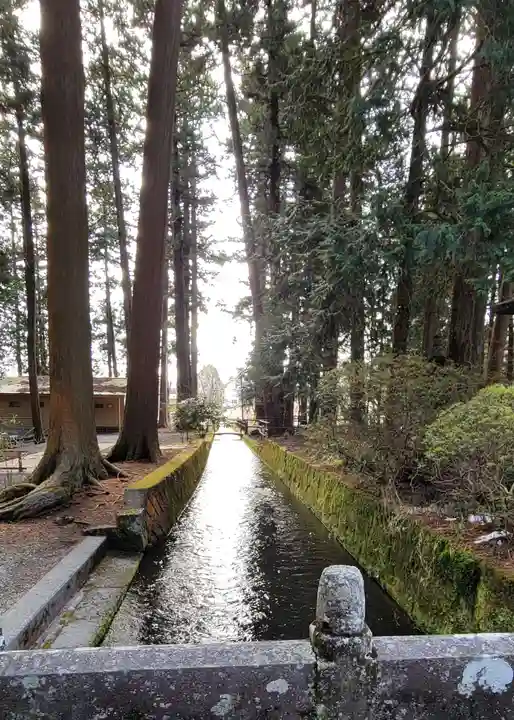 北口本宮冨士浅間神社の自然