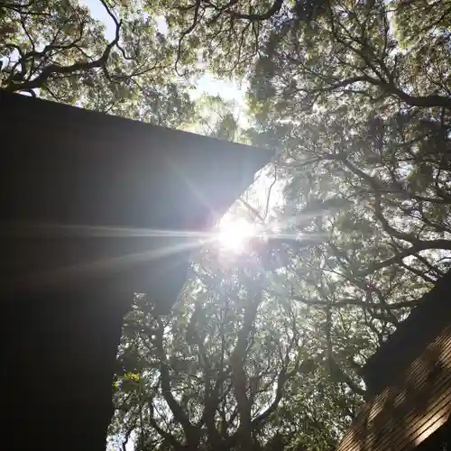 沼尾神社のその他建物