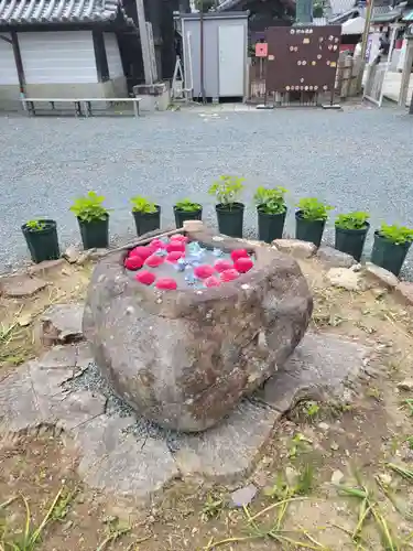 柳谷観音　楊谷寺(京都府)