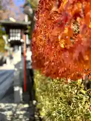 冨士山稲荷神社(長野県)