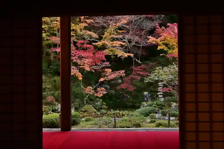 金剛輪寺(滋賀県)