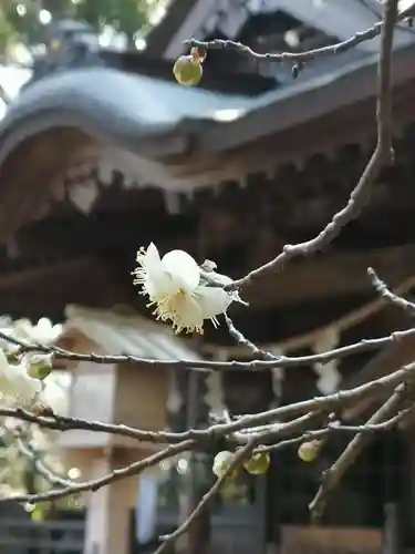 鴨鳥五所神社の自然