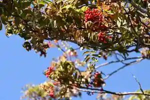 宝光寺の自然(2021年10月14日(木) 09時52分36秒投稿)