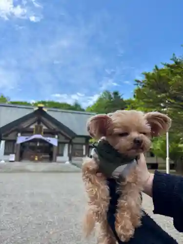 岩内神社(北海道)