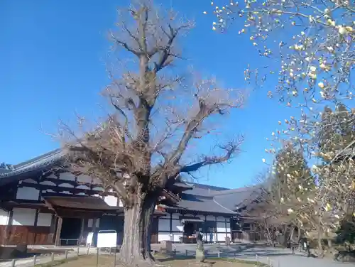 永保寺(岐阜県)