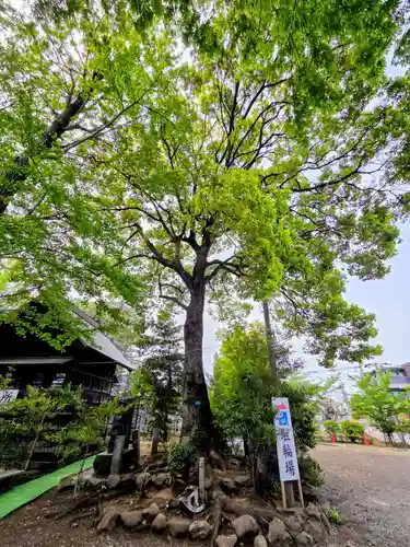 牟礼神明社(東京都)