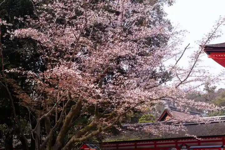 賀茂御祖神社(下鴨神社)(京都府)