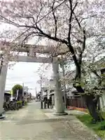 福島八幡宮の鳥居